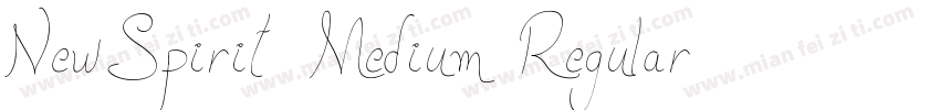 NewSpirit Medium Regular字体转换